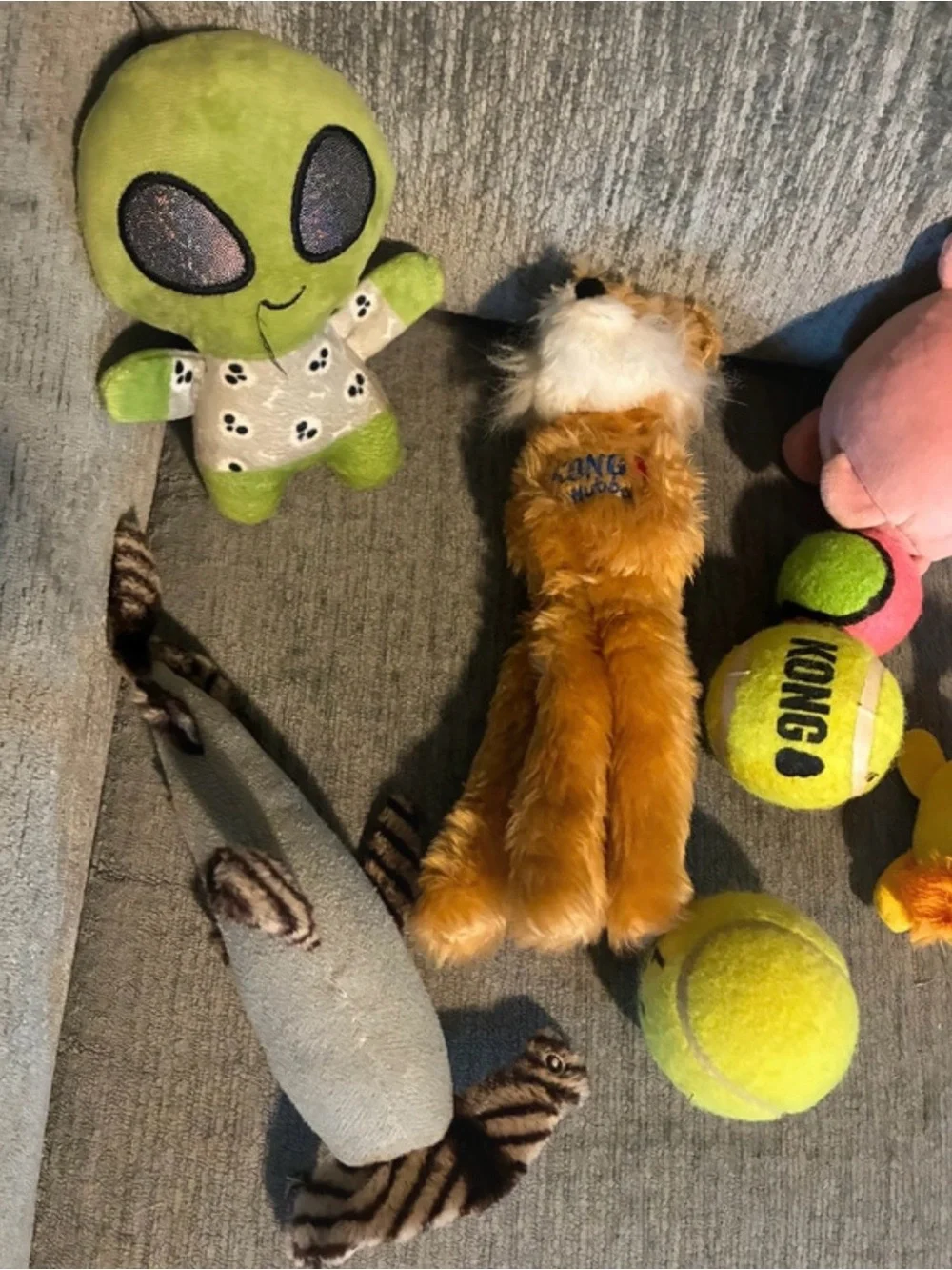 Kong Yellow Tennis Ball with Plush Pig and Assorted Plush Dog Toys